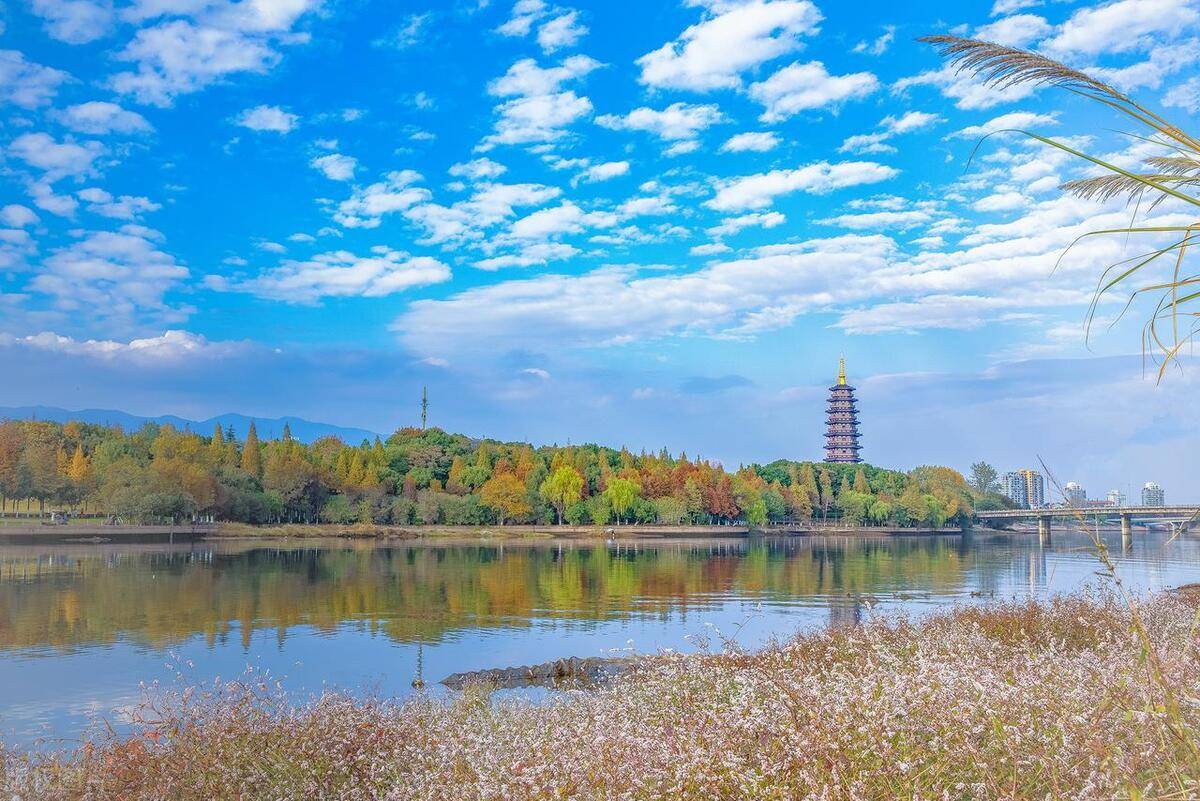 顶级操盘手酒醉吐真言炒股不用太多技巧吃透分时图就够用了！