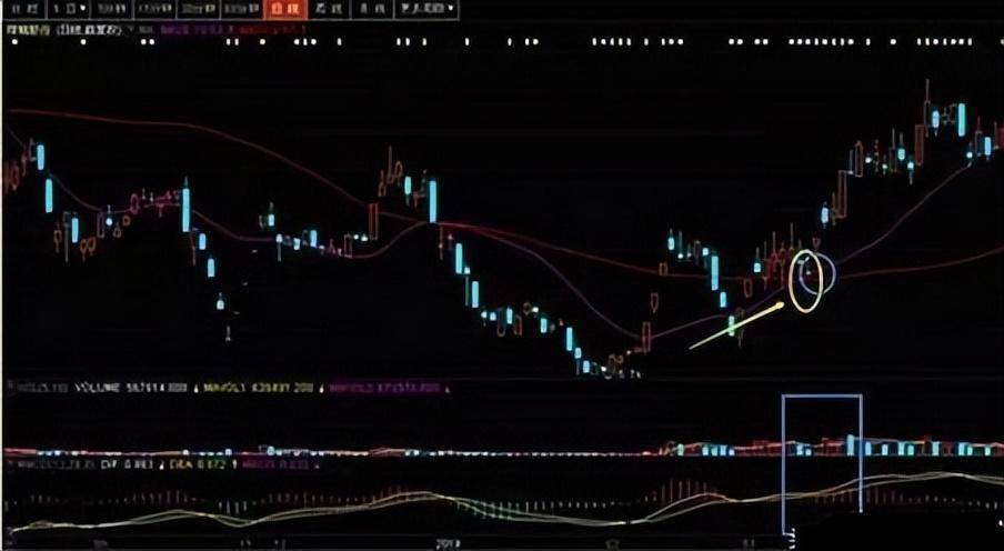 资深股民炒股的获胜秘诀一条均线走天下看完如梦初醒！