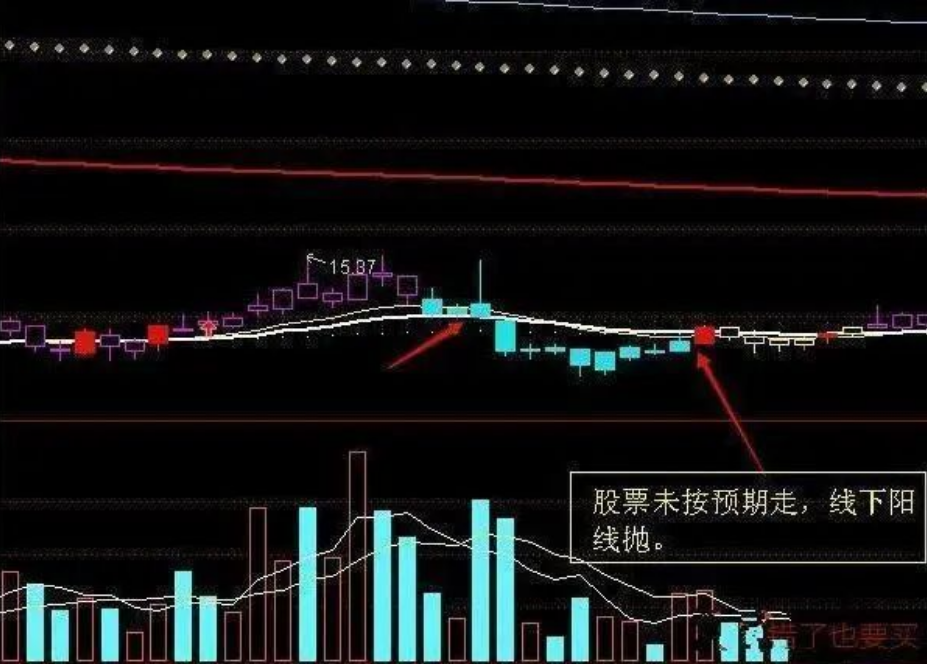 一篇文章点破中国股市值得散户细品此文献给还在亏损的散户