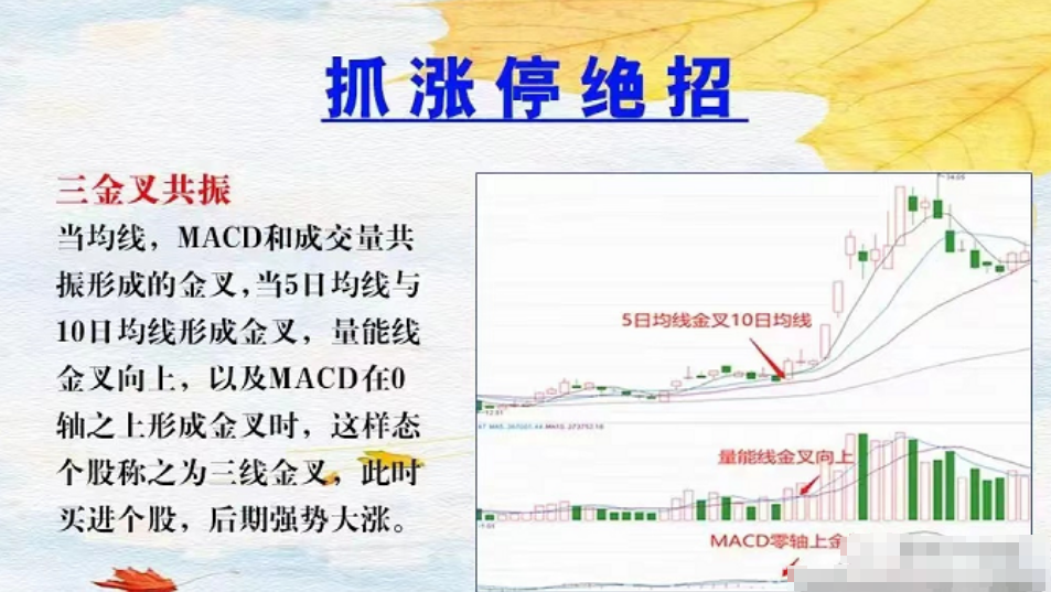 一位炒股高手心得送给广大迷途的散户朋友建议反复阅读
