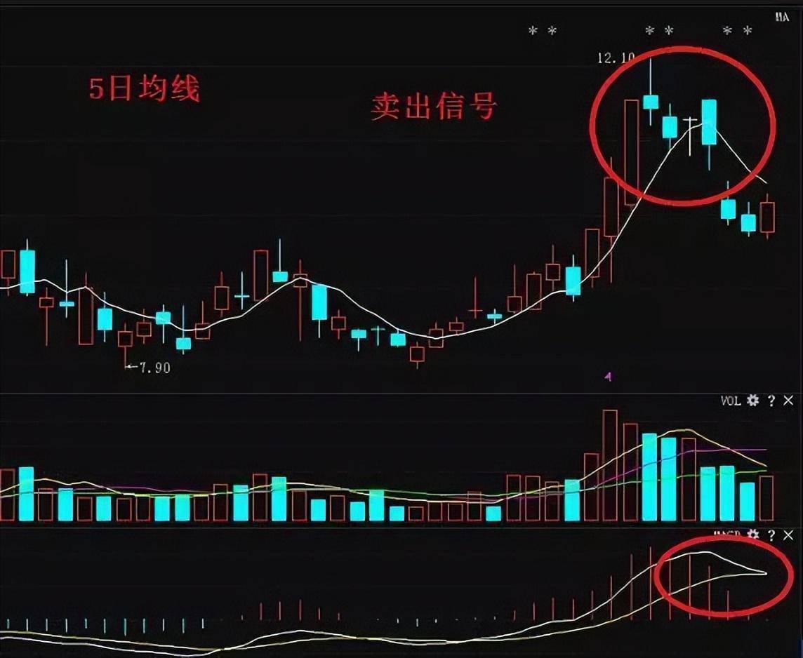 成功交易赚钱的一种人做一个理智的投资者本文很短很深