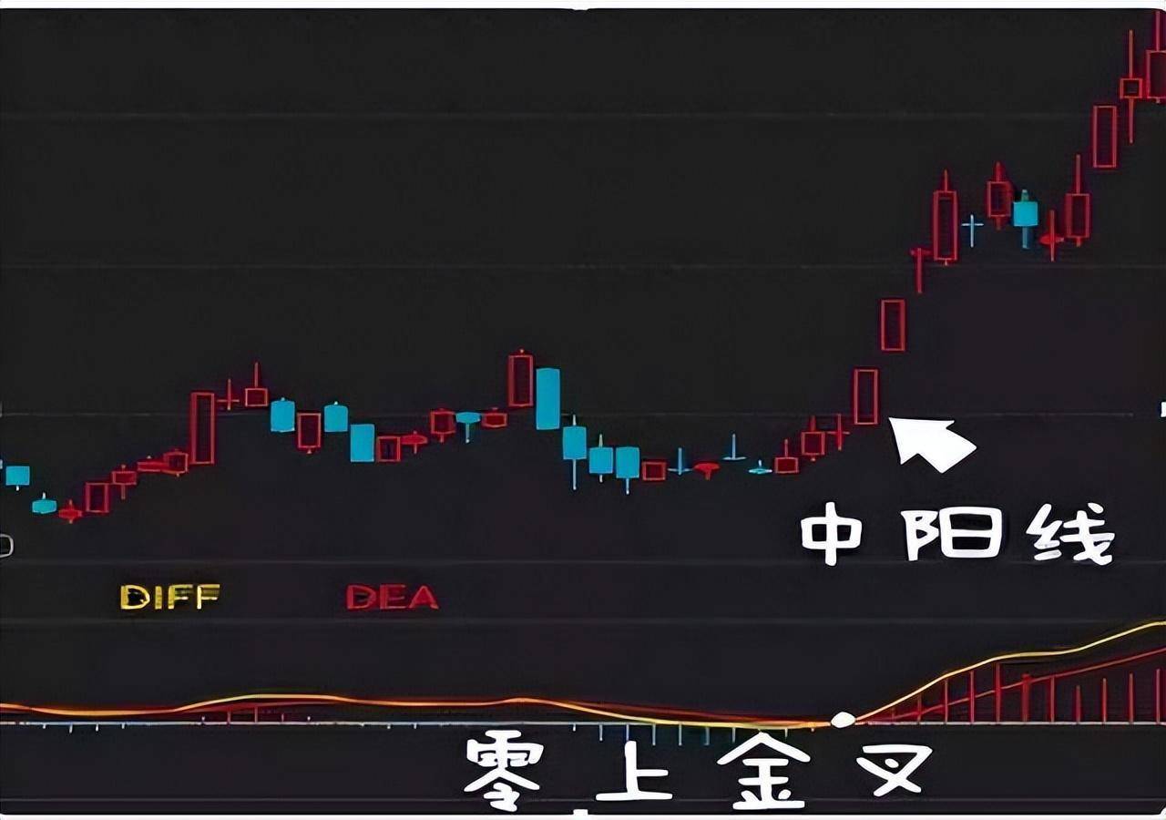 如何才能成为一名成功的好散户？我们都经历什么？本文透彻！