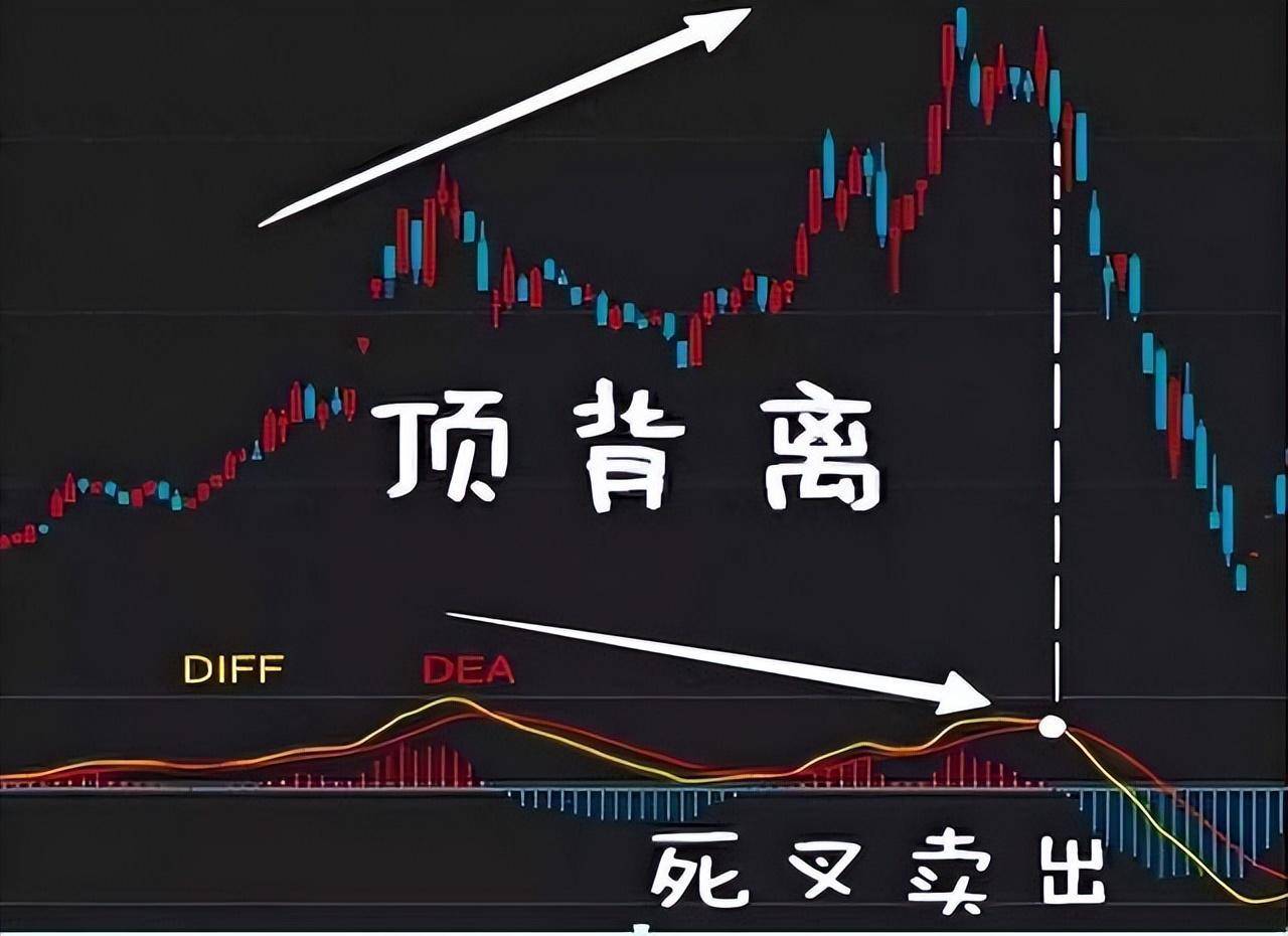 如何才能成为一名成功的好散户？我们都经历什么？本文透彻！