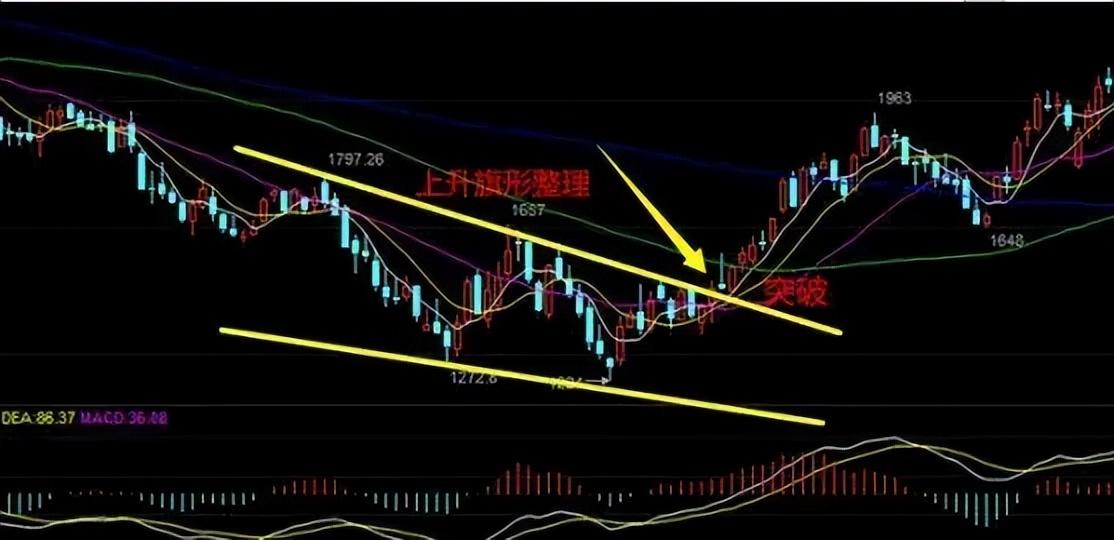 成功的投资人把简单做到了极致就成了高手送给迷茫的你
