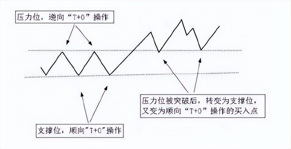 一位金融博士直言股市半仓一只股反复做T散户牢记在心