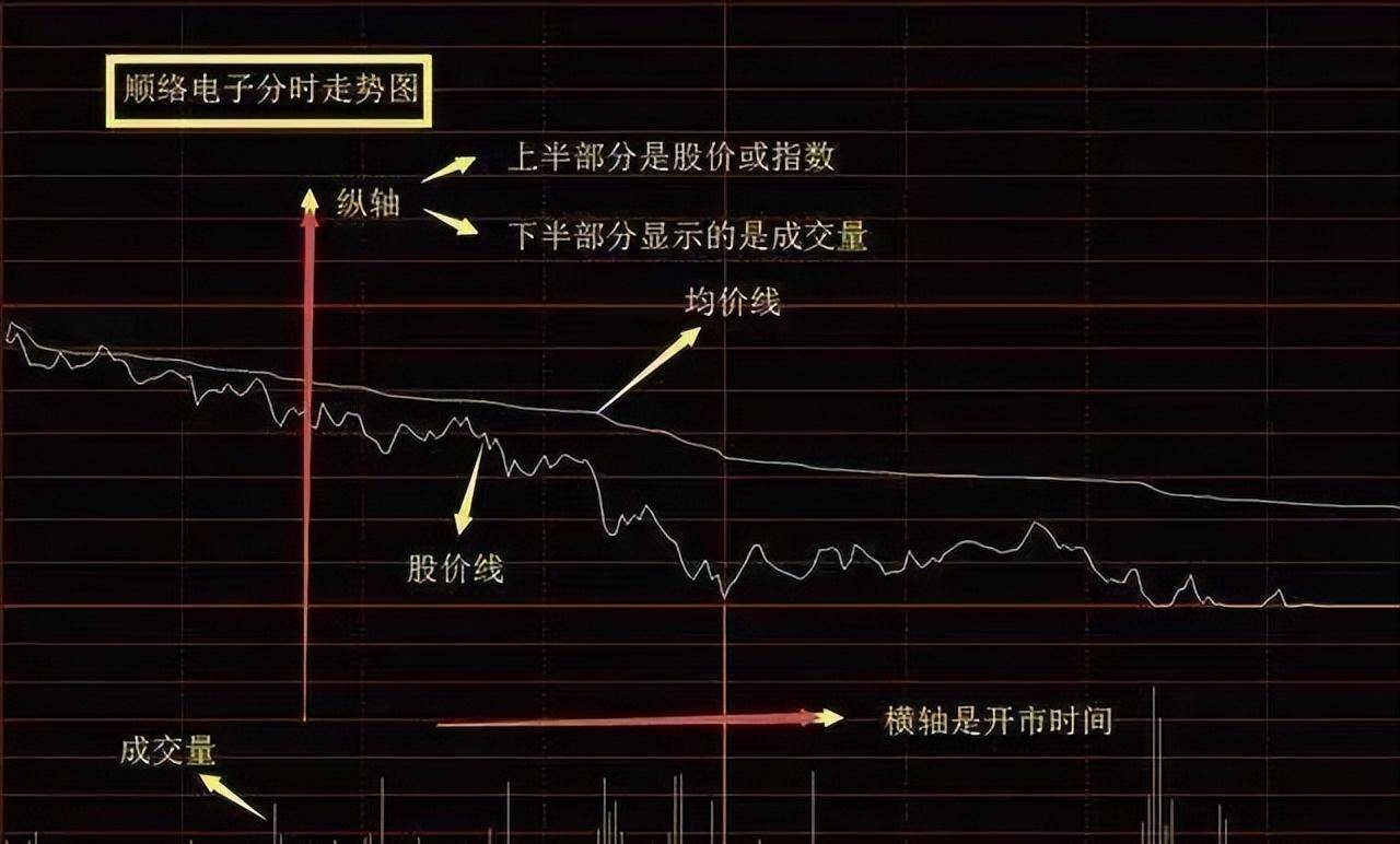 一位职业老股民的箴言散户股民永远要记住不要把股市当赌场！