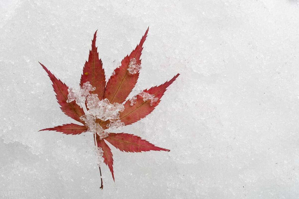 一位职业老股民的箴言散户股民永远要记住不要把股市当赌场！