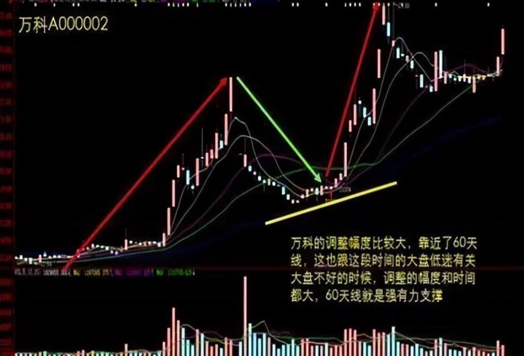 一位金融博士的箴言股市盈利的方法是逆人性的值得细品！