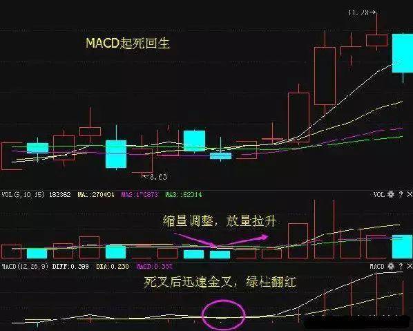 终于有人把MACD运用讲透彻了捕捉精准起涨点从未失手！
