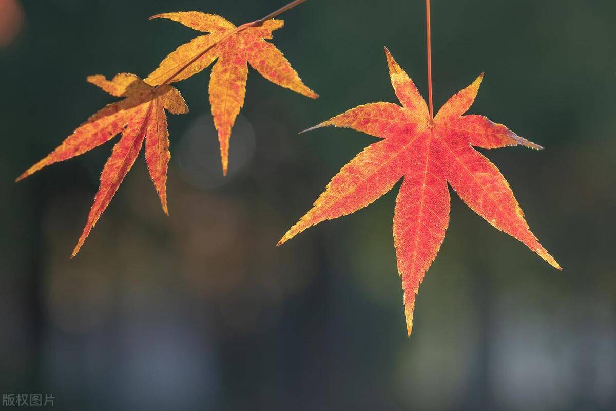 一位北大博士箴言写给正在亏损的散户投资是一个长期的过程