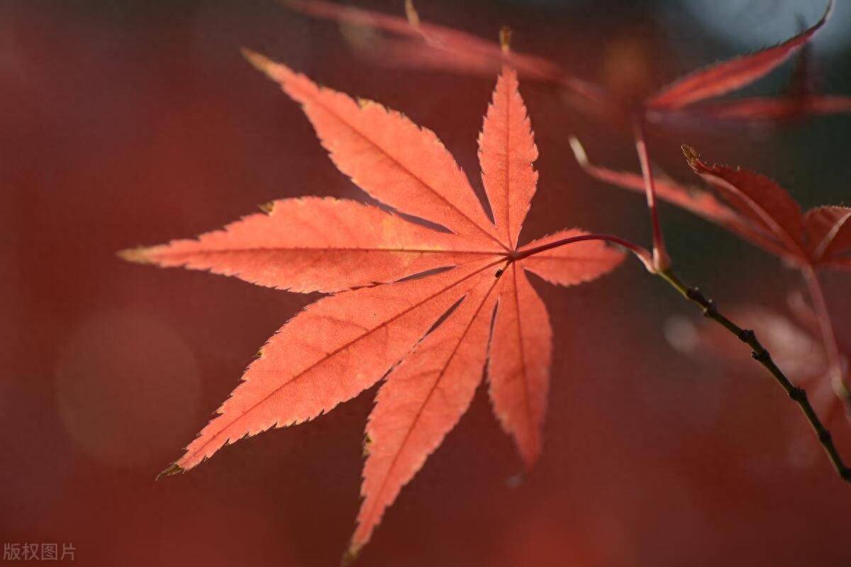 一位民间炒股高手告诉你投资是人性的游戏安静是时间的沉淀