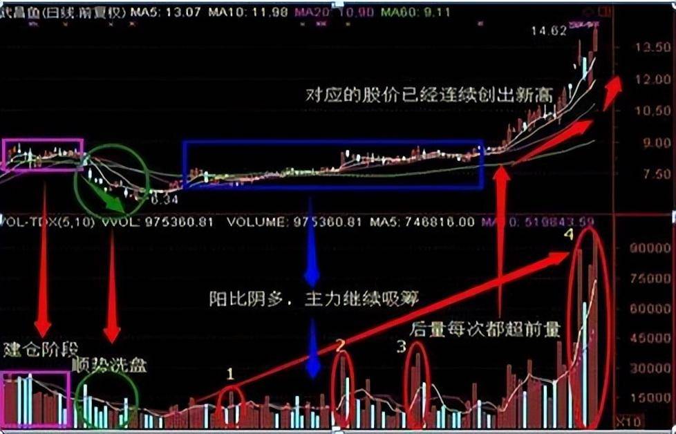 小资金必读我能实现炒股养家,铭记主力建仓的几种方式
