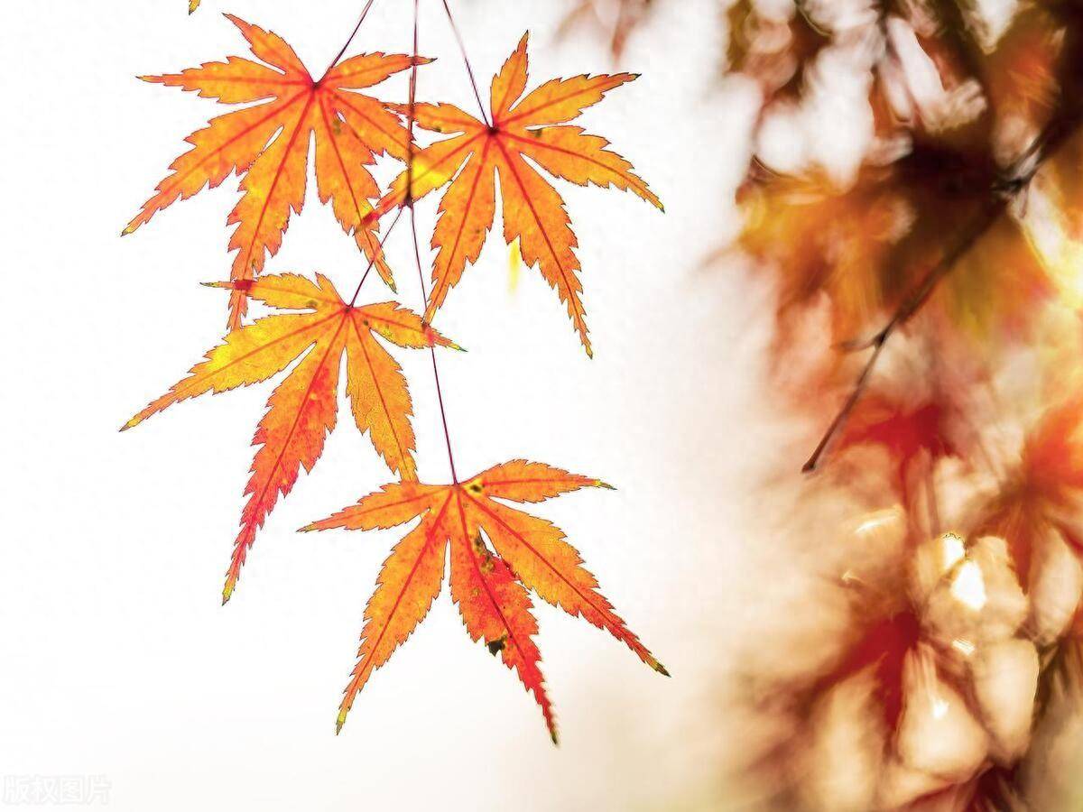 炒股成功的人交易大成的必经过程在困境中崛起太透彻了！