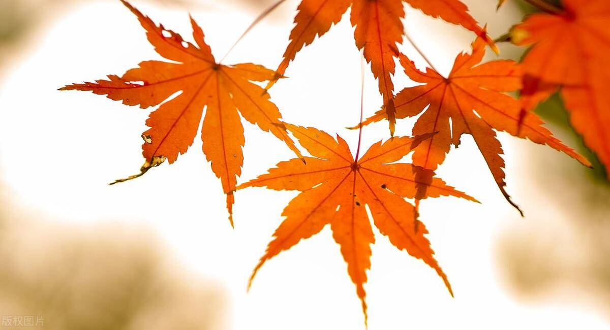 炒股成功的人交易大成的必经过程在困境中崛起太透彻了！