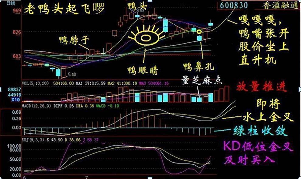 如果想要实现炒股养家本文将是你的垫脚石献给还在亏损的散户