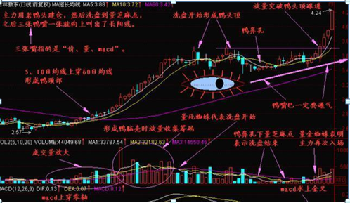 如果想要实现炒股养家本文将是你的垫脚石献给还在亏损的散户