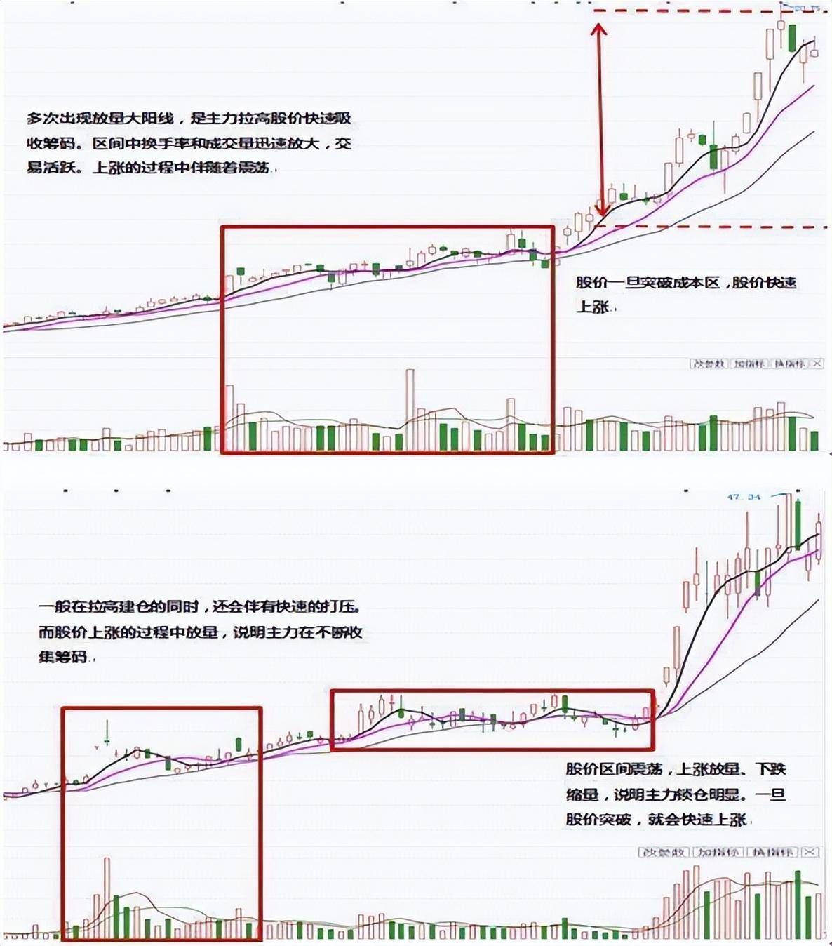 为什么散户炒股很难盈利？终于有人说明白了看完大彻大悟！