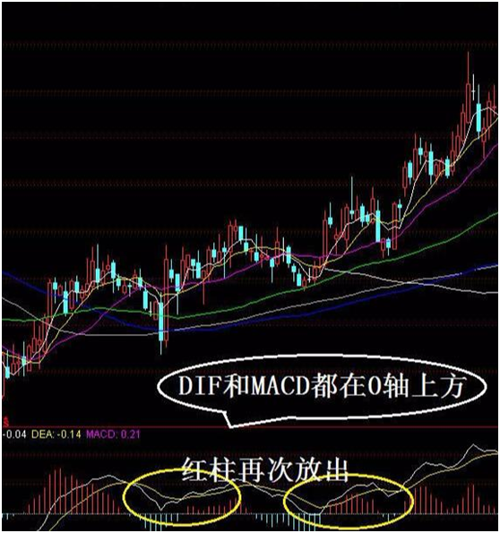 靠炒股到底能不能发财？一位民间股神的自述我整整读了十遍！