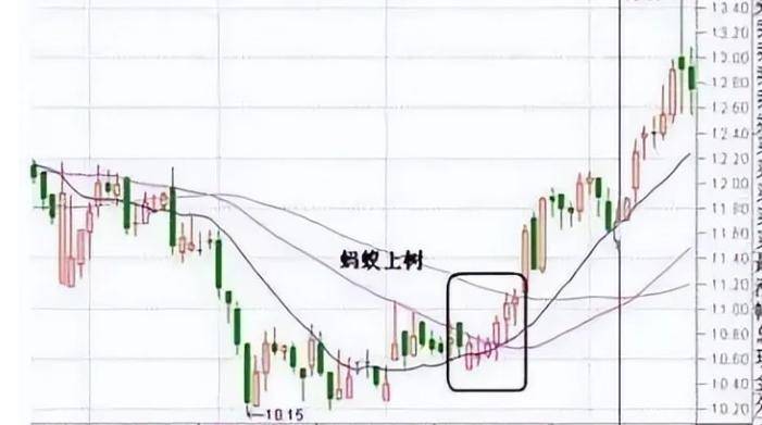蚂蚁上树战法