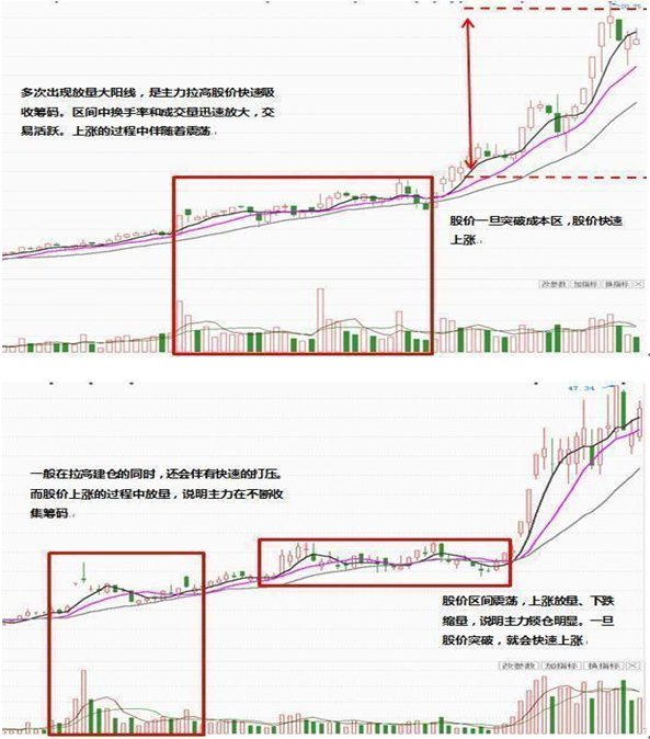 老股民箴言怎么在5000多只股票中选一只好票？看完收获满满