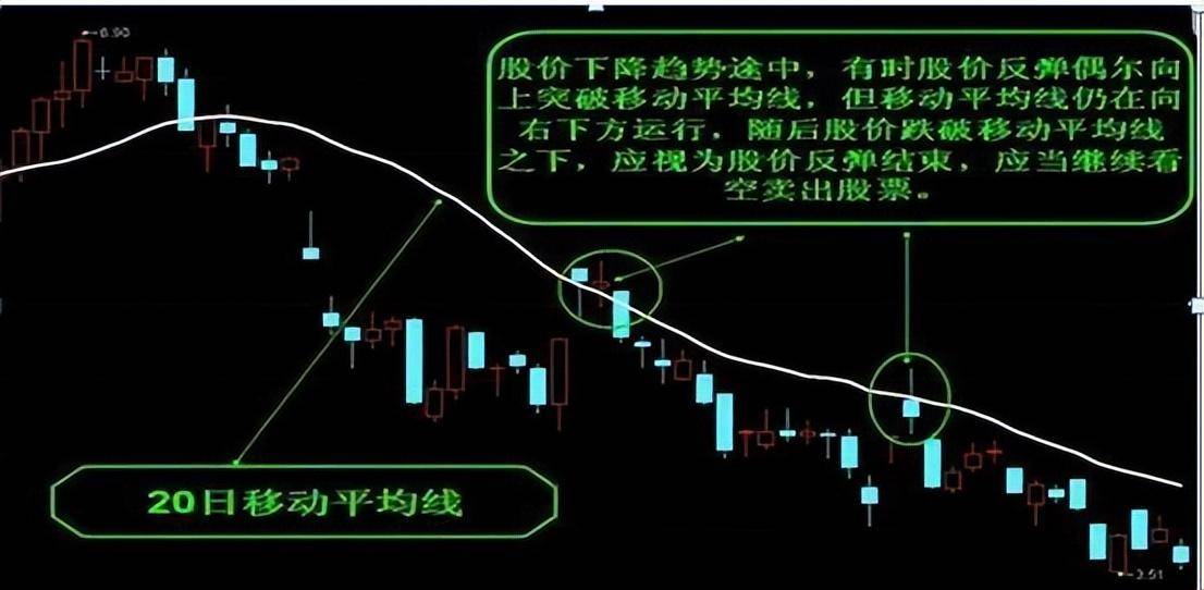 老股民箴言怎么在5000多只股票中选一只好票？看完收获满满