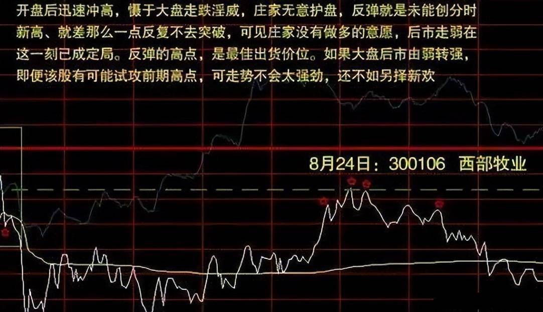老股民赠言写给正在亏损的散户只要顿悟即可收获财富谨记