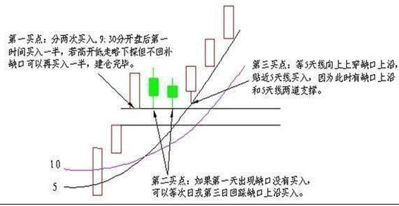 北大女博士发言作为投资者成功的交易者只需要反复做好两件事