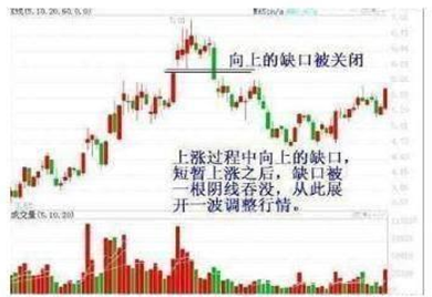 北大女博士发言作为投资者成功的交易者只需要反复做好两件事