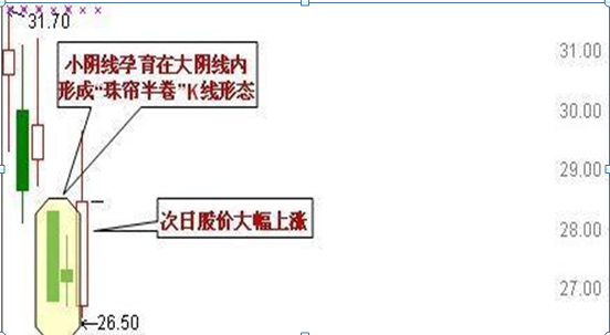 北大女博士箴言开盘三分钟看透涨跌规律看懂你将超越95股民
