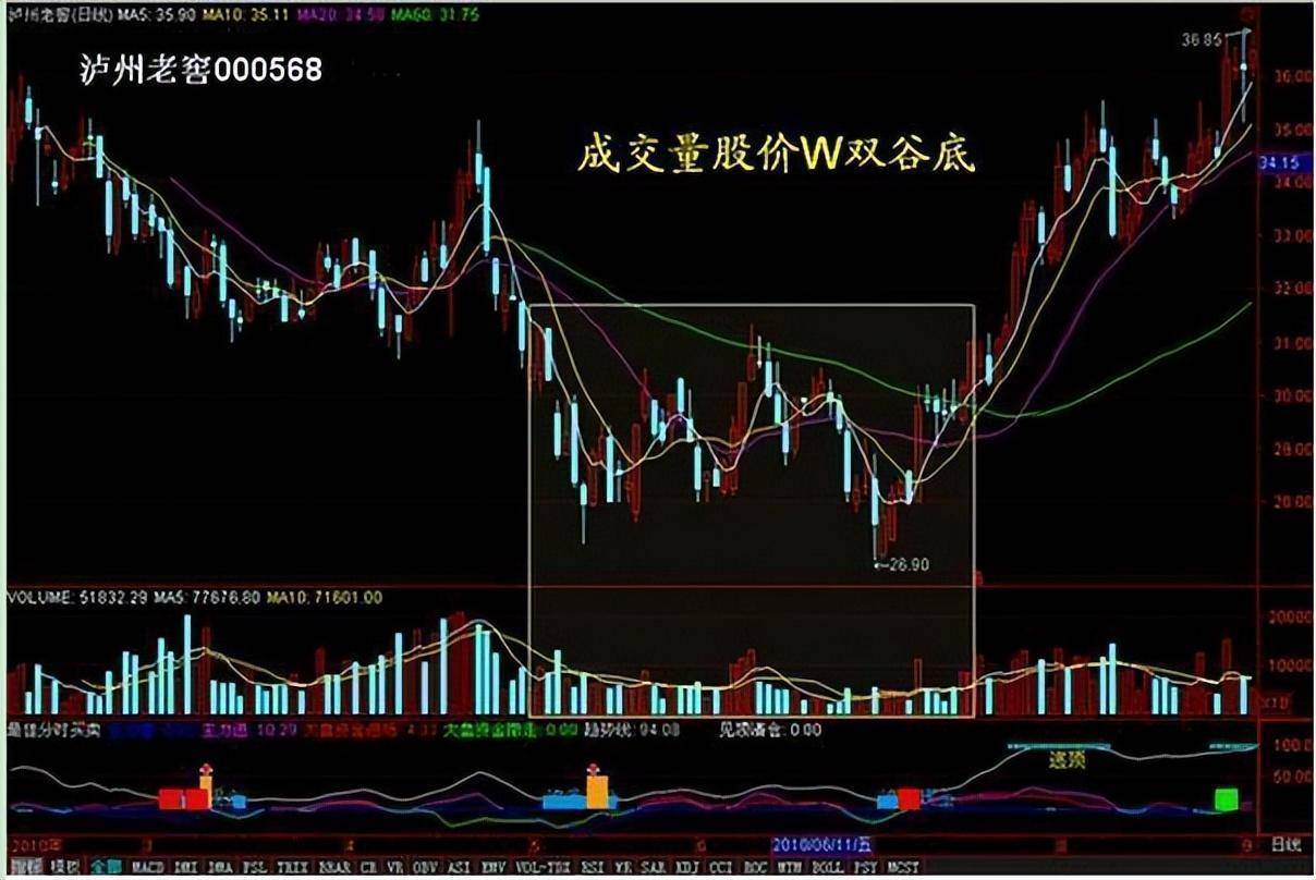 来自一位顶级交易员的自述为什么散户拿不住股票？看完受益匪浅