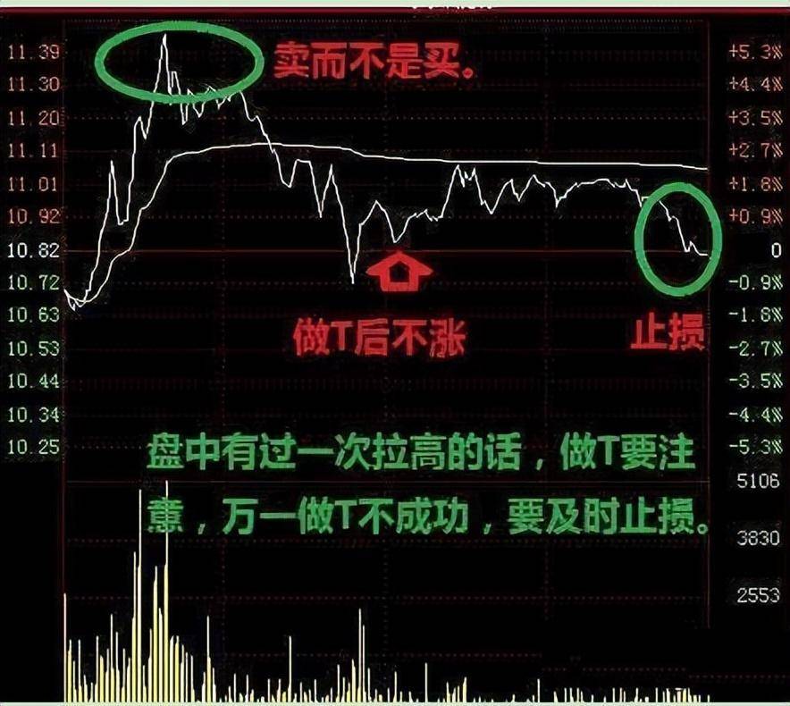 一位金融博士箴言为何要选择交易作为人生？做交易要拥有的能力