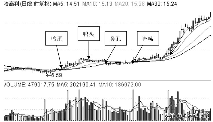 A股最赚钱的一种股民只需死记五个数字10205060721
