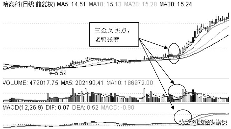A股最赚钱的一种股民只需死记五个数字10205060721