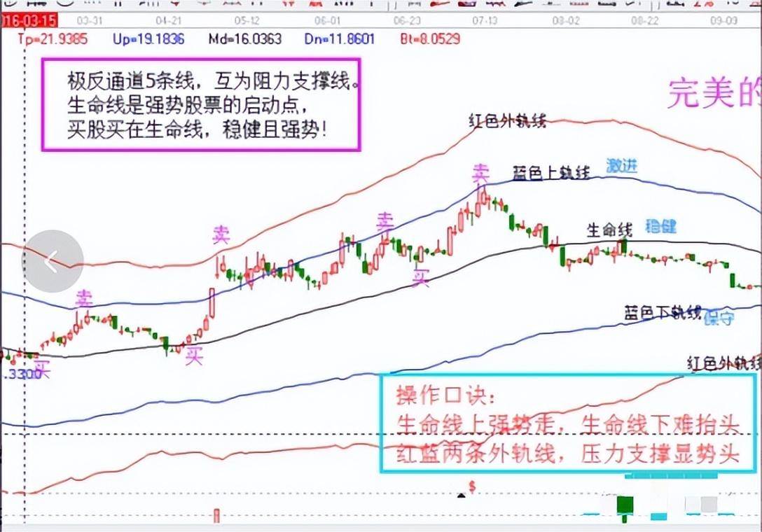 炒股的基本功是什么？