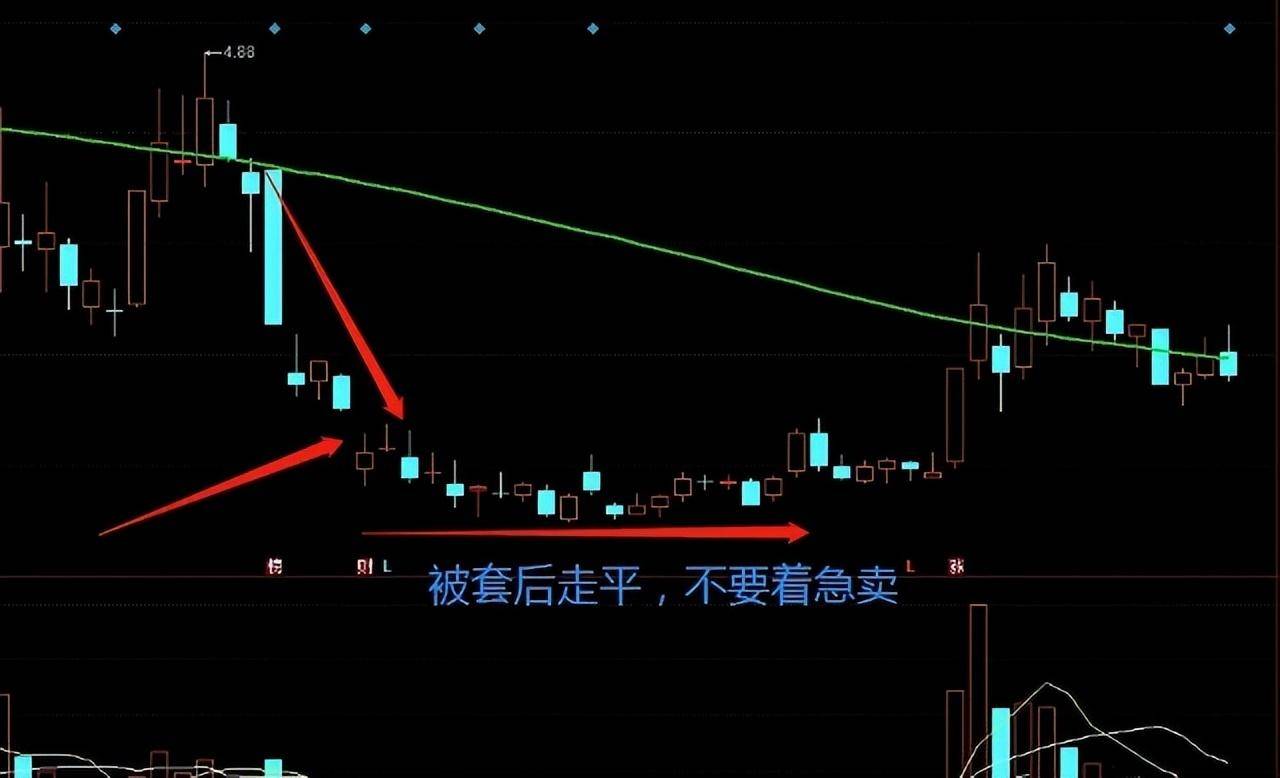 我能全职炒股养家只因我始终坚守96原则掌握了十二种底部密码