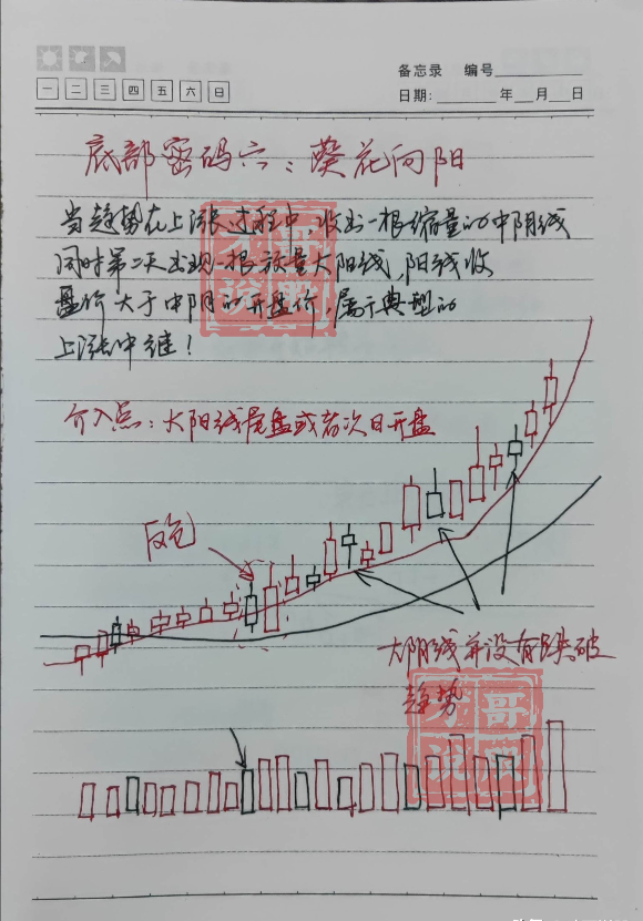 我能全职炒股养家只因我始终坚守96原则掌握了十二种底部密码