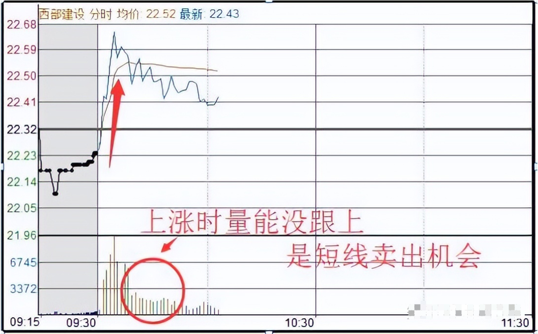学会做T技巧精髓真正做到低买高卖在股市中长期获利！