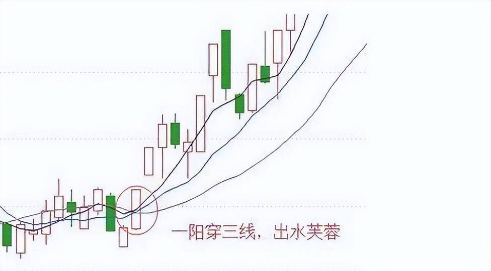 最强势的反转形态出水芙蓉经常出现中线大牛股第一安全买点