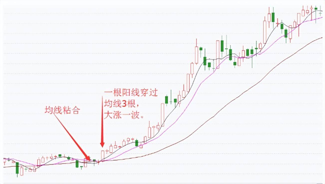 要在中国股市赚到100万唯一的办法是只炒龙头股认准六个买点