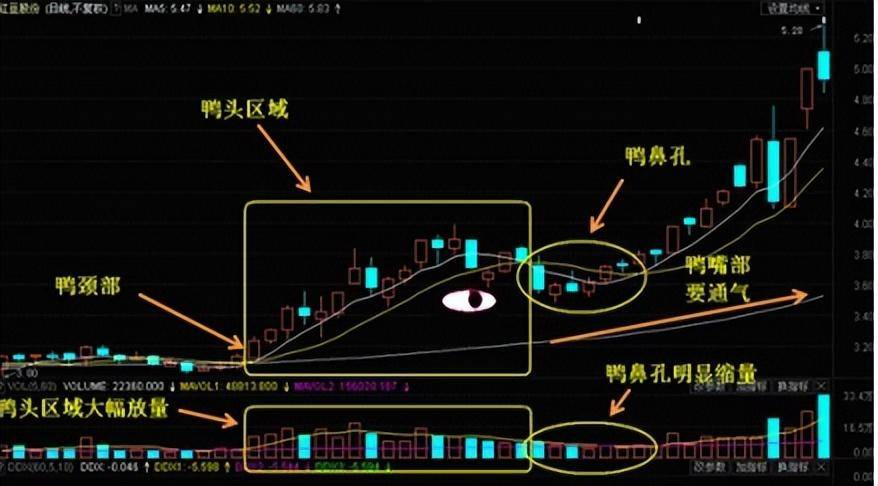 炒股十五多年从30w到1900w只因死啃一种形态只做一种趋势！