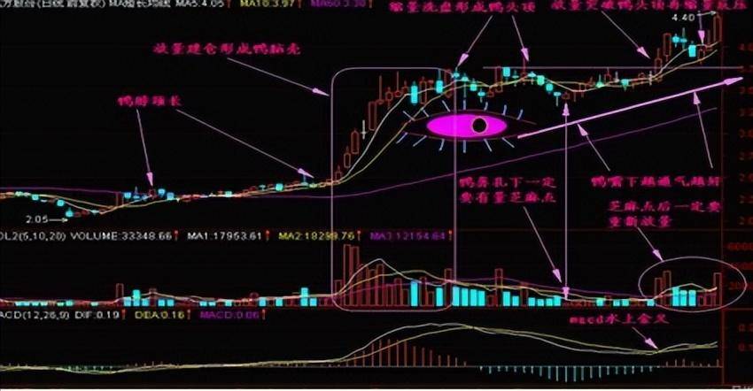 炒股十五多年从30w到1900w只因死啃一种形态只做一种趋势！