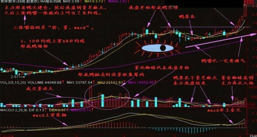 炒股十五多年从30w到1900w只因死啃一种形态只做一种趋势！