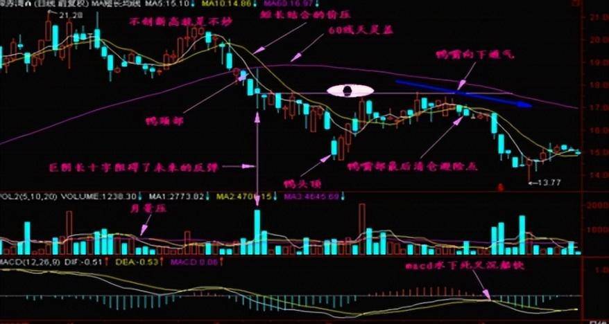 炒股十五多年从30w到1900w只因死啃一种形态只做一种趋势！