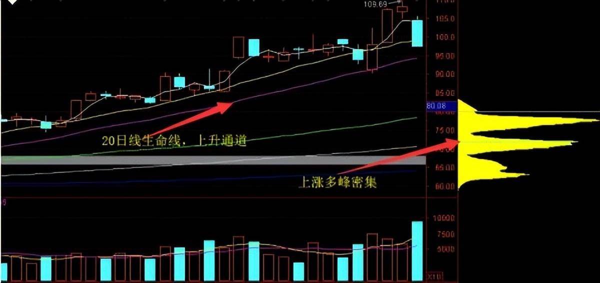 筹码之下无秘密庄家是洗盘还是出货筹码看的一清二楚！