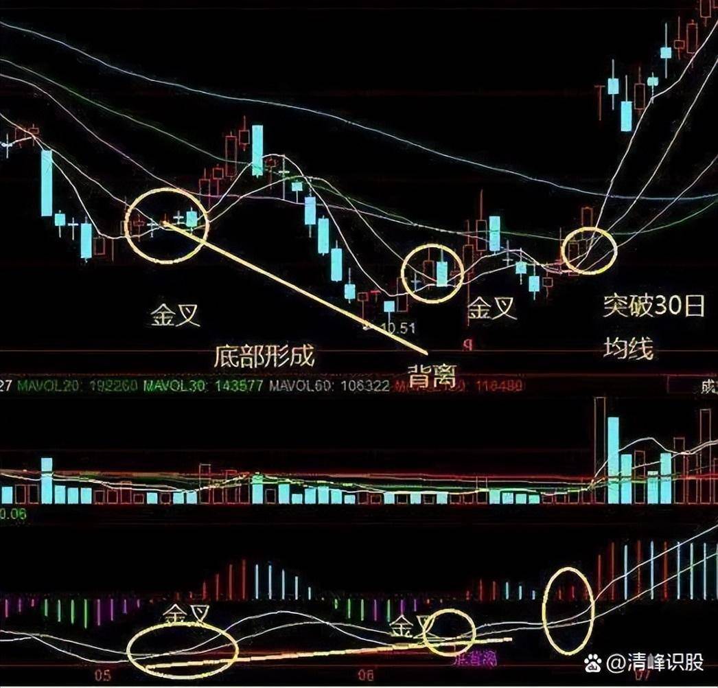 散户靠炒股真的能实现财富自由吗？韭氏家族经典操作有哪些？