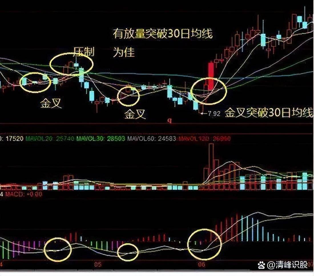 散户靠炒股真的能实现财富自由吗？韭氏家族经典操作有哪些？
