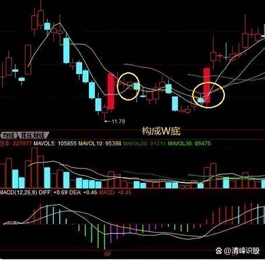 散户靠炒股真的能实现财富自由吗？韭氏家族经典操作有哪些？