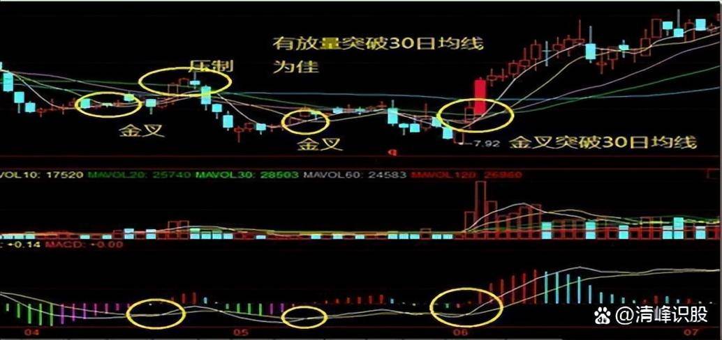 散户靠炒股真的能实现财富自由吗？韭氏家族经典操作有哪些？