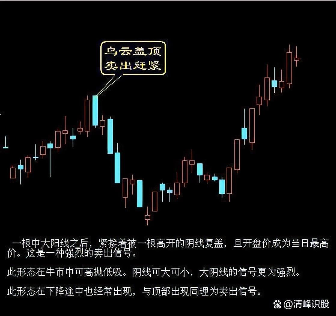 终有一天你会发现真正炒股厉害的人都有共性