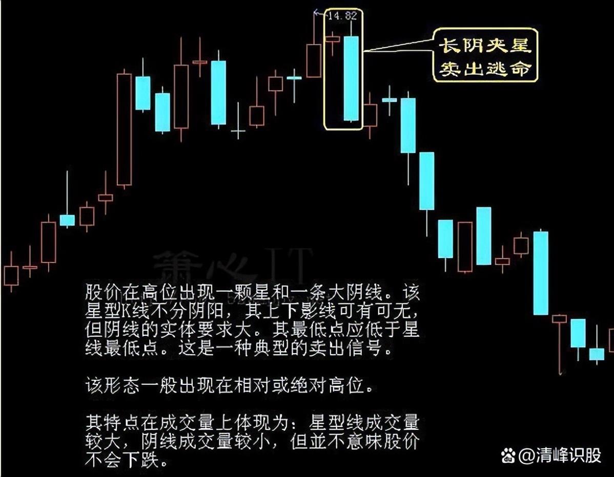 终有一天你会发现真正炒股厉害的人都有共性